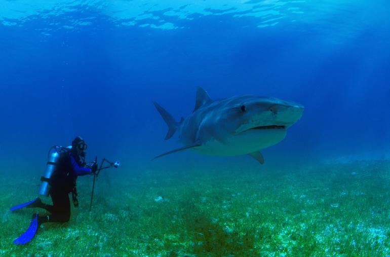 Sipadan, Borneo, Azja